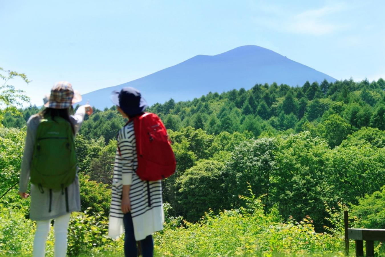 Ana Holiday Inn Resort Karuizawa By Ihg Kitakaruizawa ภายนอก รูปภาพ